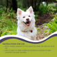Natural Tick & Flea Spot-On for Dogs & Cats 10ml