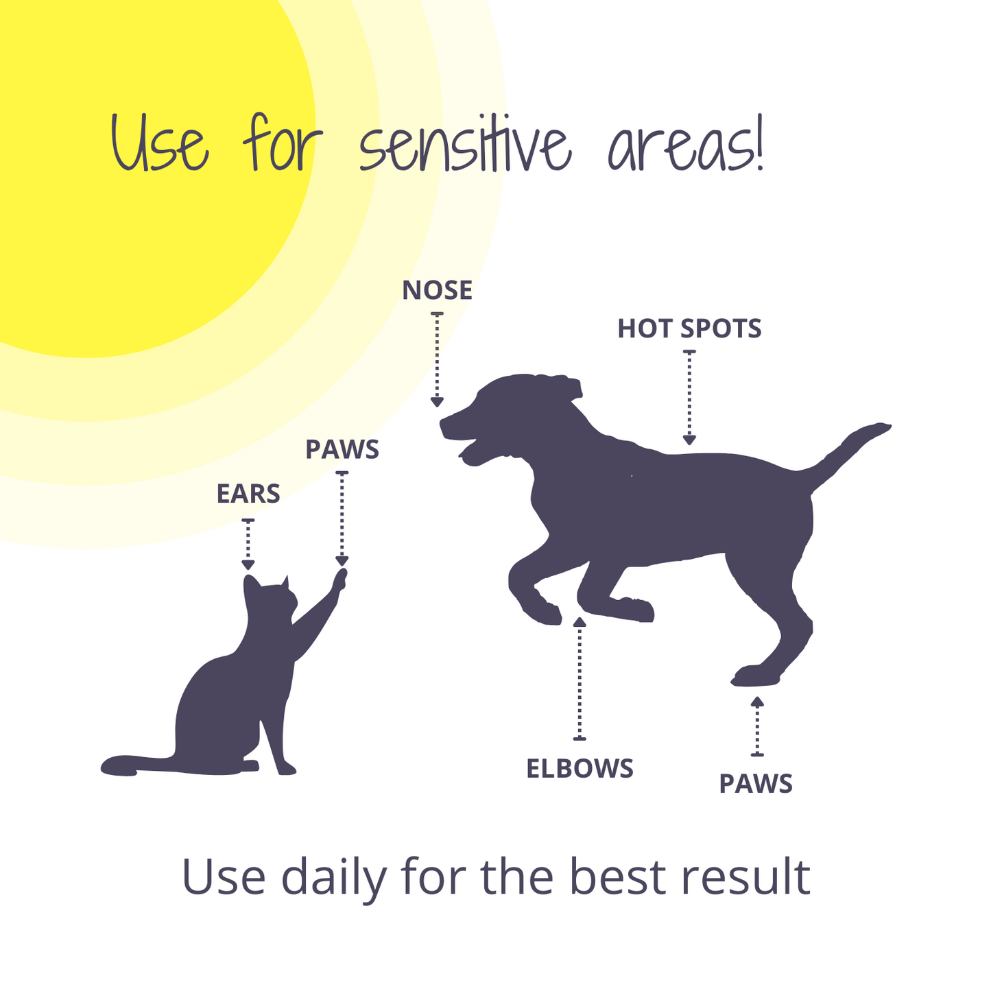 After Sun For Pets