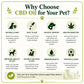 2% CBD Oil for Pets 10ML