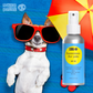 Pet Sunscreen SPF30 Spray