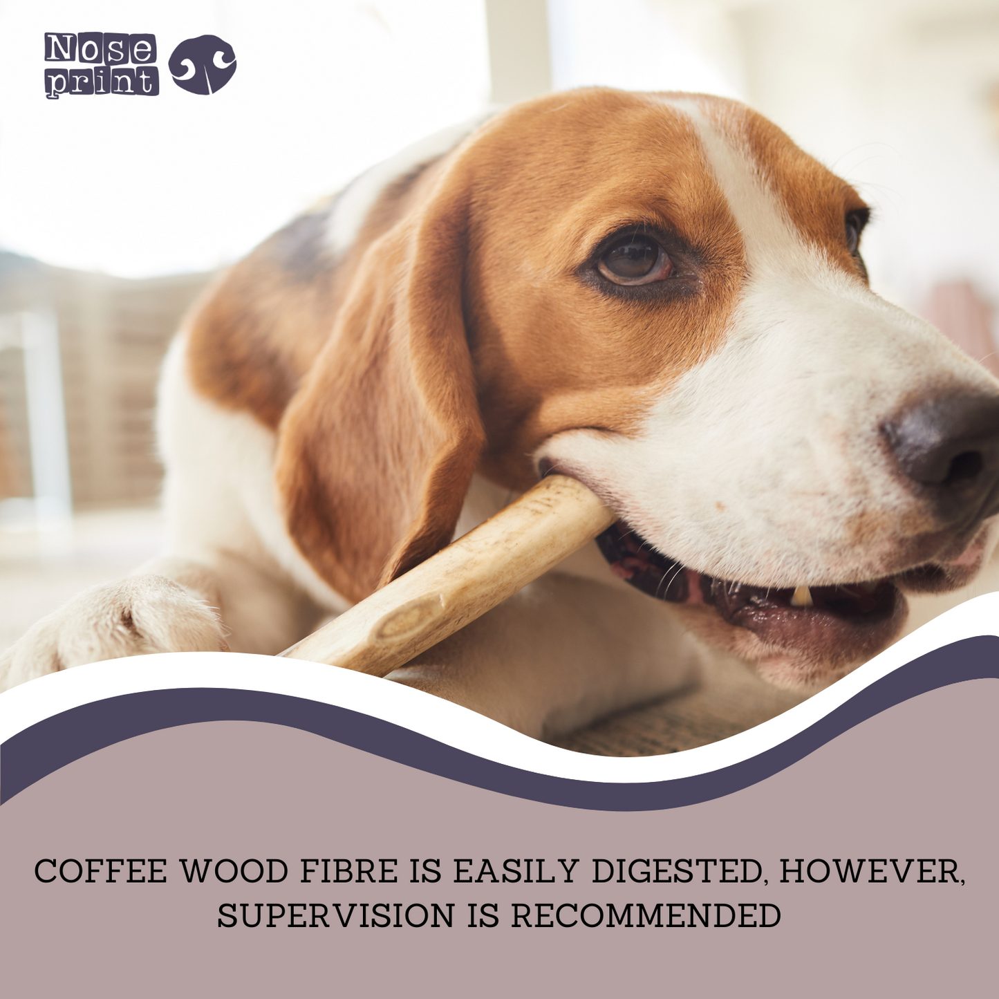 Coffee Wood Chew For Dogs